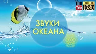 3 часа 🎵 396 Гц 🎵 Лучшая Лаунж Музыка для Релакса 🎵Спокойная Эмбиент Мелодия на Каждый День