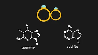 Mnemonics For Memorizing the Nucleotides | MCAT Content