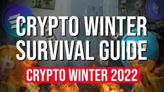 How To Survive The Crypto Winter In 2022 (Survival Guide)