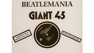 DISC SPOTLIGHT: “Beatlemania” by D.B.M. (1978)