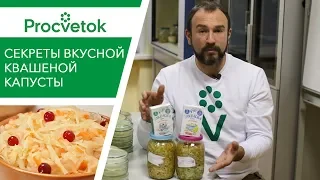 Пора квасить! Готовим вкусную и полезную квашеную капусту