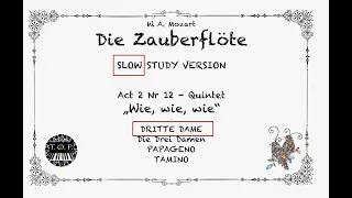 Zauberflöte Act2 Nr12 Quintet | DRITTE DAME highlighted | SLOW version | Opera Study Accompaniment