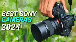 Top 3 Best Sony Cameras To Buy In 2024 | Ultimate Guide