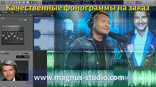 Николай Басков - натуральный блондин (минусовка, фрагмент)дэмо