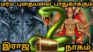 Mysterious Temple Door analysis | Padmanabhaswamy temple | Padmanabhaswamy mystery door  secrets