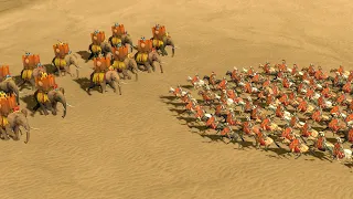 PRAETORIAN CAVALRY vs EVERY EGYPTIAN UNIT - Total War ROME 2