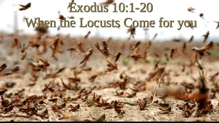 Exodus 10:1-20 Plague 8: When the Locusts come for you