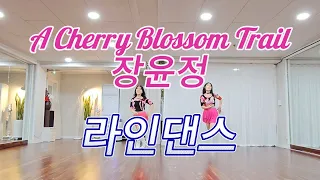 A Cherry Blossom Trail 장윤정 l 벚꽃길 l 라인댄스 l Linedance