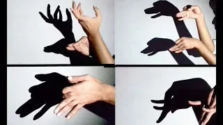 How to Make Shadow Puppets With Your Hand - Very Interesting Ideas || Part -3: Shadow Animals