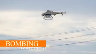 China showcases its Helicopter Swarm Drone System 'Blowfish A3'