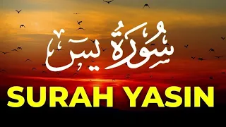 Surah Yaseen | Yasin | Episode 25 | Daily Quran Tilawat Surah Yasin Surah Rahman Surah yasin yaseen