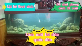 Làm lại bể đúc thủy sinh siêu to sang phong cách đá cuội đơn giản