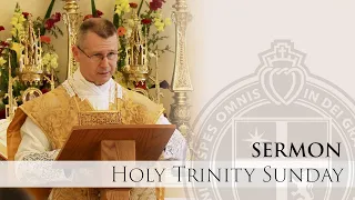 Sermon - The Holy Trinity - Holy Trinity Sunday - Rev. Fr. Goshie - 5/26/24