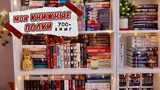 МОИ КНИЖНЫЕ ПОЛКИ📚 700+ КНИГ НЕ ПОМЕЩАЮТСЯ!