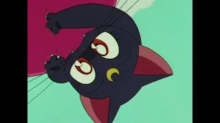 Luna attacks Kigurum|Sailor Moon Clips