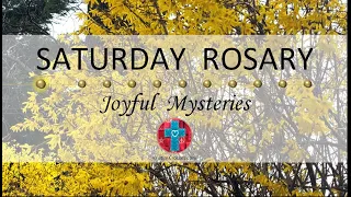 Saturday Rosary • Joyful Mysteries of the Rosary 💙 April 13, 2024 VIRTUAL ROSARY - MEDITATION