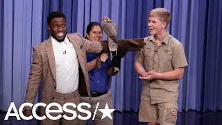 Kevin Hart Hilariously Loses It Over Exotic Animals With Robert Irwin On 'The Tonight Show' | Access