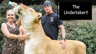 THE UNDERTAKER visits Myrtle Beach Safari