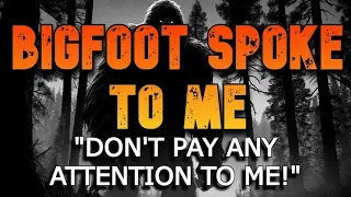 BIGFOOT SPOKE TO ME "DON'T PAY ANY ATTENTION TO ME!"