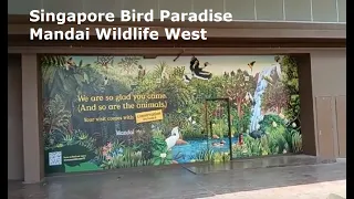 Walking Tour: Singapore Bird Paradise Entrance, Shop, Surroundings | Mandai Wildlife West