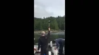 Bald Eagle Grabs Fish From Guy's Hand! (SLOW MOTION)