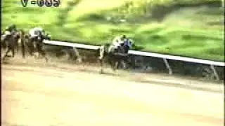 Clasico Sprinters de Hinava 2002