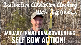 January Traditional Bowhunting Self Bow  Action! Deer Down!