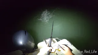 BIG FISH at night - Darwin Harbour recreational fishing