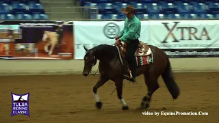 Whizkey Chaser ridden by Andrea Fappani - L4 Reserve Champion-225.5 (Open Derby)