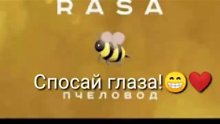 Пчеловод//Rasa+Текст песни