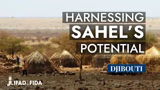 Sahel and Djibouti: Building Resilience in Fragile Settings