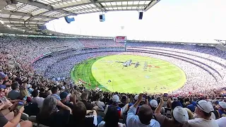 Collingwood 2023 Premiers: Up There Cazaly