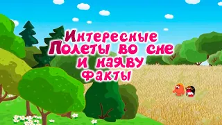 Интересные факты о серии "Полёты во сне и наяву" - Смешарики