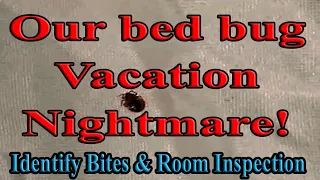 Bed Bug Travel Nightmare! 5 star, All-inclusive, Adult Resort. Identify bite & properly inspect room