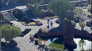 Lanzarote● Jardin de Cactus- ●12-2019 ●cz.9