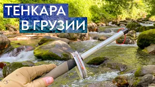 ТЕНКАРА в Грузии. Самая красивая река, где я ловил ФОРЕЛЬ!