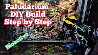 How To Build A Paludarium DIY In Depth Tutorial #paludarium #bioactive