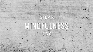 Mindfulness Episode 160 (Organic House Mix)