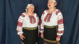 Повій вітер - укр. нар. пісня (Валентина Рубан та Інна Рубан-Оленіч)