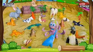 Learn Sea Animals for Kids & Farm Animals Stuck in Muddy Puddles | Kids Learning Stream