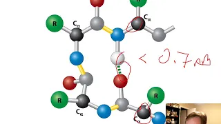 Molecular Biology Chapter 3