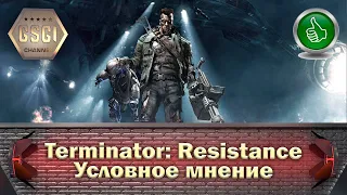 Terminator: Resistance - Условное мнение