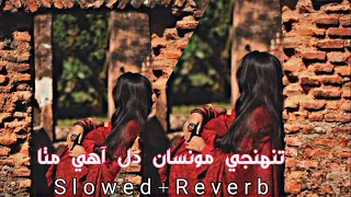 Jy_Tuhnji_Munsa_Dil_Aahe_Mitha_Shaman_Ali_Mirali_Slowed🌼Reverb #trending #viral