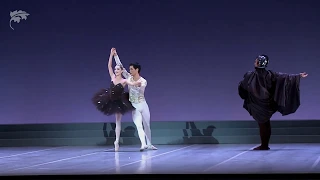 Ballet du Capitole • Dans les pas de Noureev- Maison de la Danse Lyon