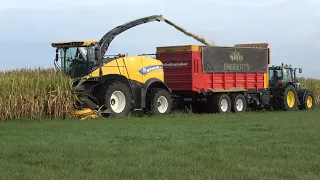 Mais hakselen met demo New Holland FR550 Forage Cruiser door loonbedrijven Engberts en Altena (2021)