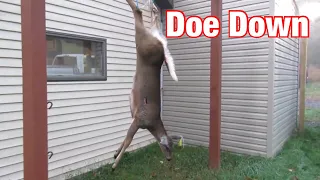 Doe Down With Crossbow - PA Archery Season 2019 (GRAPHIC)