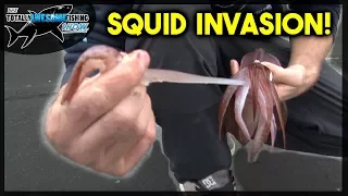 Squid Invasion! Pier Fishing for GIANTS!