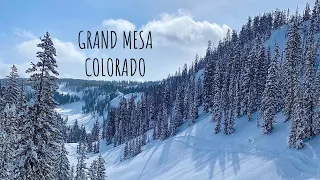 Snowmobiling | Colorado