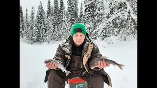 Кто куда, а мы в тайгу на рыбалку / Рыбалка на Хариуса на таежных реках