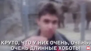 Самое первое видео на ютуб